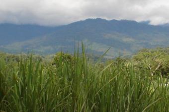 LAND FOR SALE IN PENAS BLANCAS Perez Zeledon